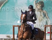 Del Signore Lordiana TosTour 2013- S5 3350 : Arezzo Equestrian Centre, Del Signore Michol, Lordiana, Toscana Tour 2013, foto di Stefano Secchi ©